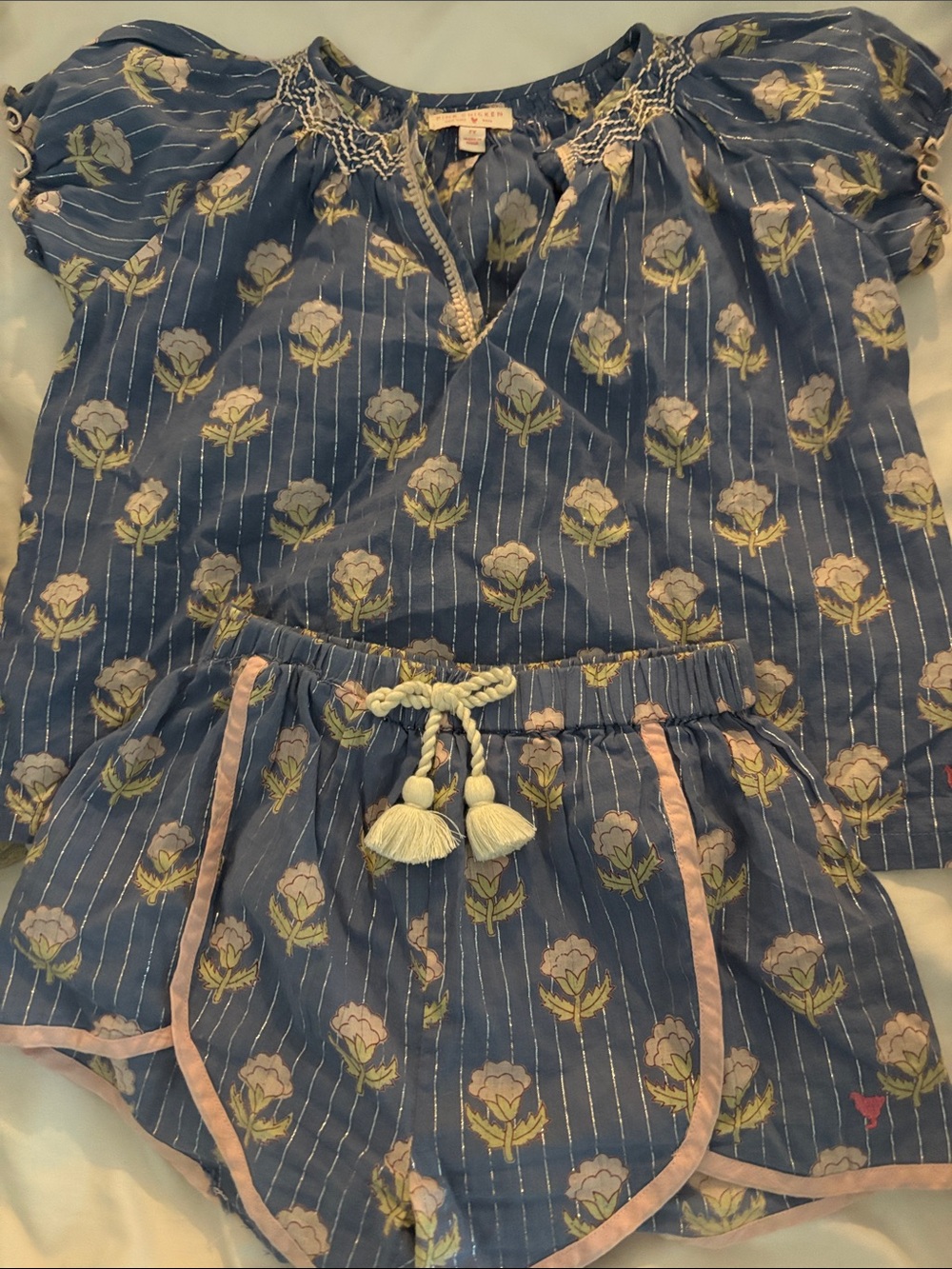 Pink Chicken Blue Floral Stripe Two-Piece Girls' Set with Tassel Tie